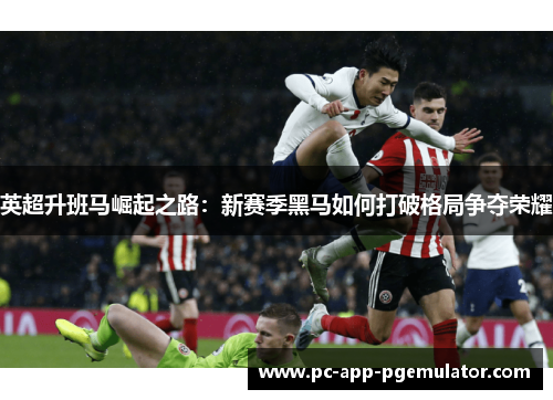 英超升班马崛起之路:新赛季黑马如何打破格局争夺荣耀 英超升班马崛起之路:新赛季黑马如何打破格局争夺荣耀