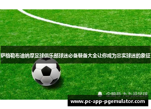 萨格勒布迪纳摩足球俱乐部球迷必备装备大全让你成为忠实球迷的象征