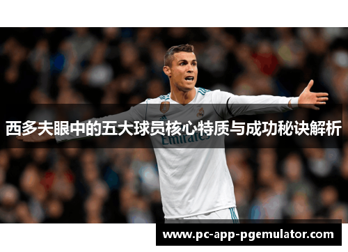西多夫眼中的五大球员核心特质与成功秘诀解析