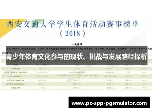 青少年体育文化参与的现状、挑战与发展路径探析