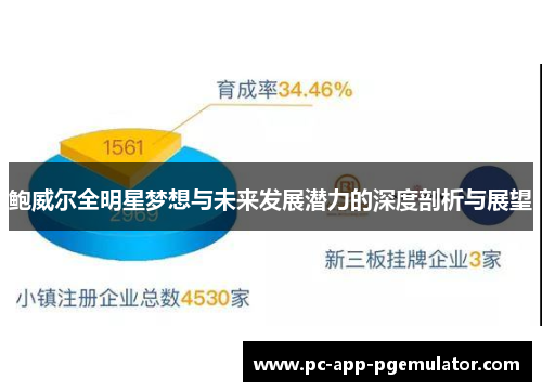 鲍威尔全明星梦想与未来发展潜力的深度剖析与展望