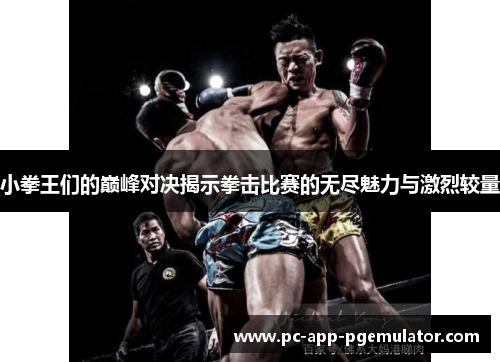 小拳王们的巅峰对决揭示拳击比赛的无尽魅力与激烈较量